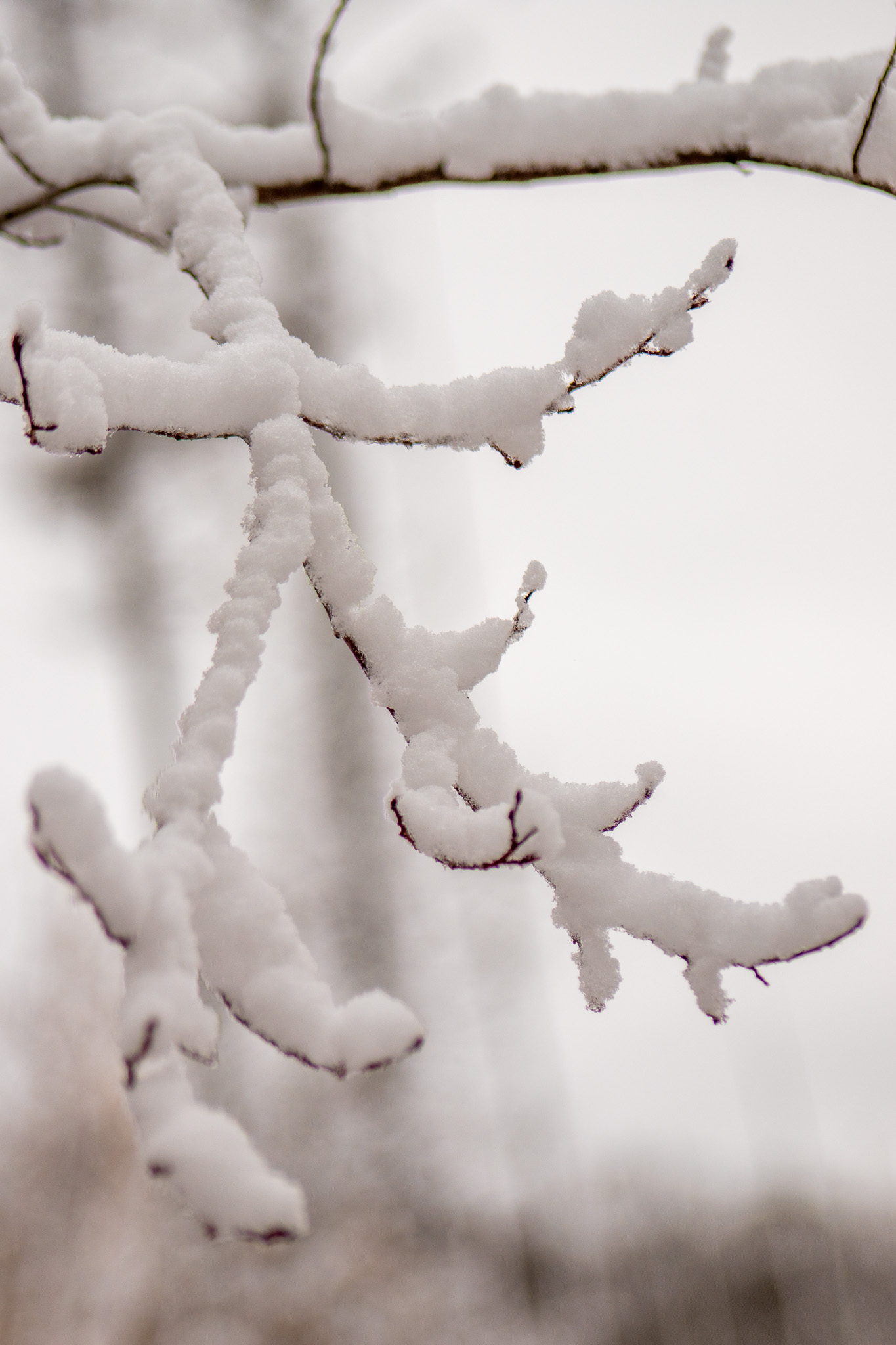 Meeting Photo Slide Show